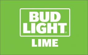 Anheuser Busch - Bud Light Lime 12oz Btl