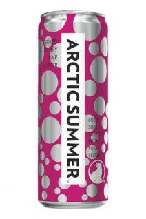 Arctic Summer Raspberry Lime Seltzer 12oz Cans