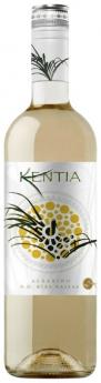 Kentia - White NV