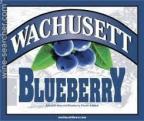 Wachusett Brewing - Wachusett Blueberry 12oz 0
